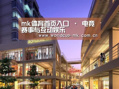 展示一(图1)