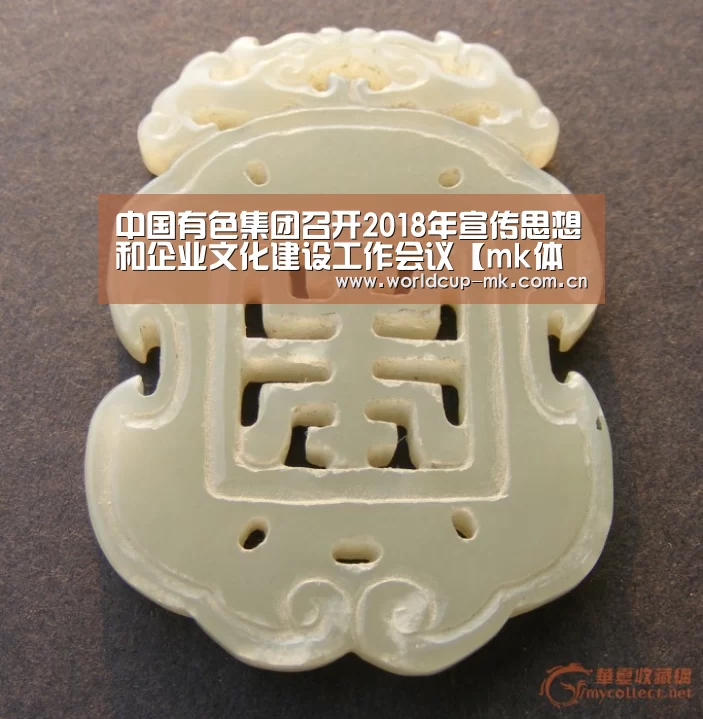 中国有色集团召开2018年宣传思想和企业文化建设工作会议【m