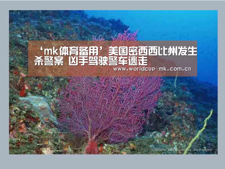 ‘mk体育备用’美国密西西比州发生杀警案 凶手驾驶警车逃走