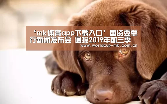 ‘mk体育app下载入口’国资委举行新闻发布会 通报2019
