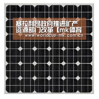 塞拉利昂政府推进矿产资源部门改革【mk体育在线】