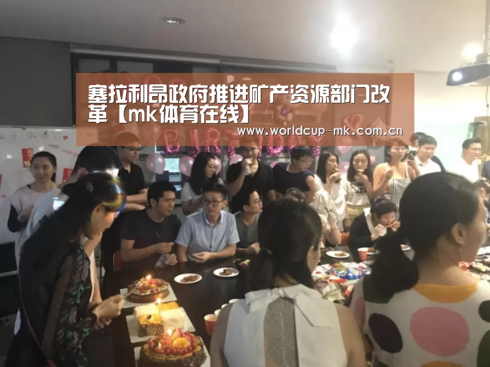 塞拉利昂政府推进矿产资源部门改革【mk体育在线】(图4) mk体育app下载入口