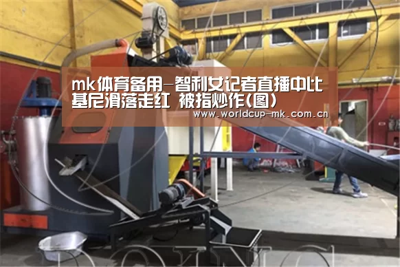 mk体育备用-智利女记者直播中比基尼滑落走红 被指炒作(图)