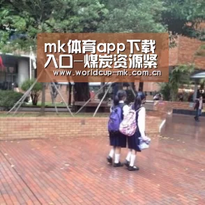mk体育app下载入口-煤炭资源紧张或为当前电力紧张的根本原