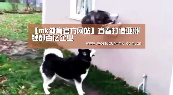 【mk体育官方网站】宜春打造亚洲锂都百亿